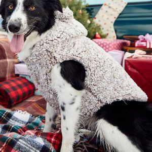 nwt altar'd state dog sherpa wubby jacket L